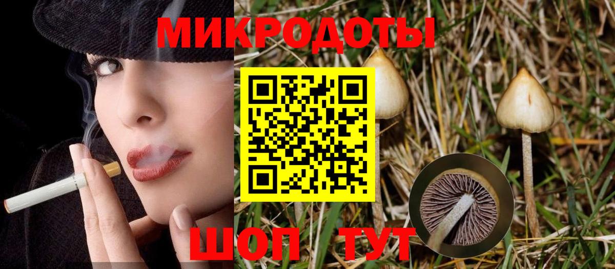 Псилоцибиновые грибы Cubensis Зеленодольск