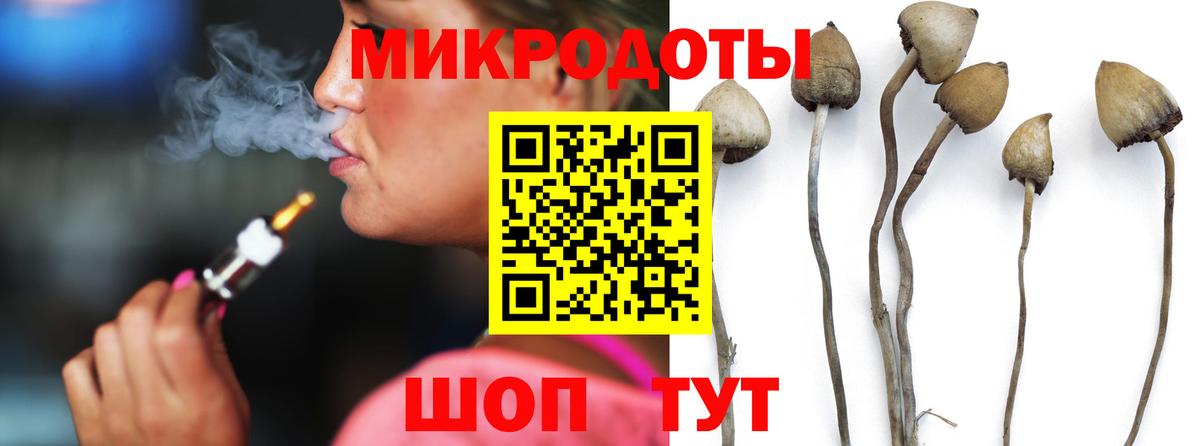 Псилоцибиновые грибы MAGIC MUSHROOMS  Вход с VPN  Зеленодольск 